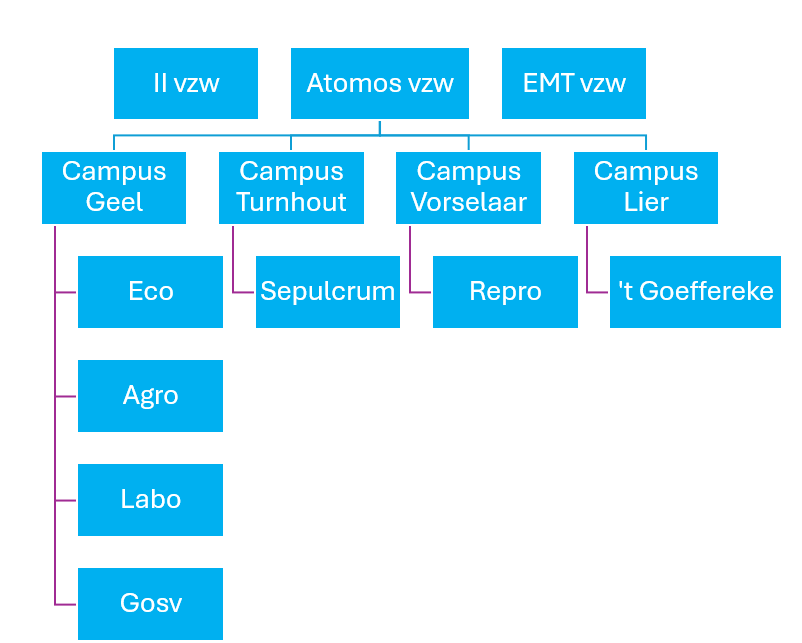 Structuur Atomos